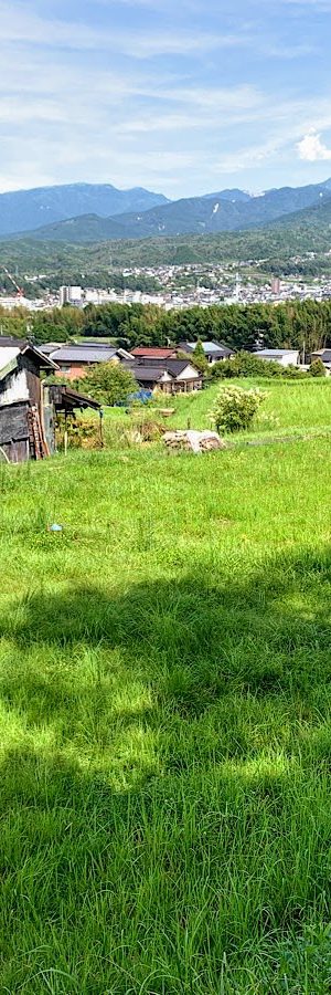 駒場字大平 売農地
